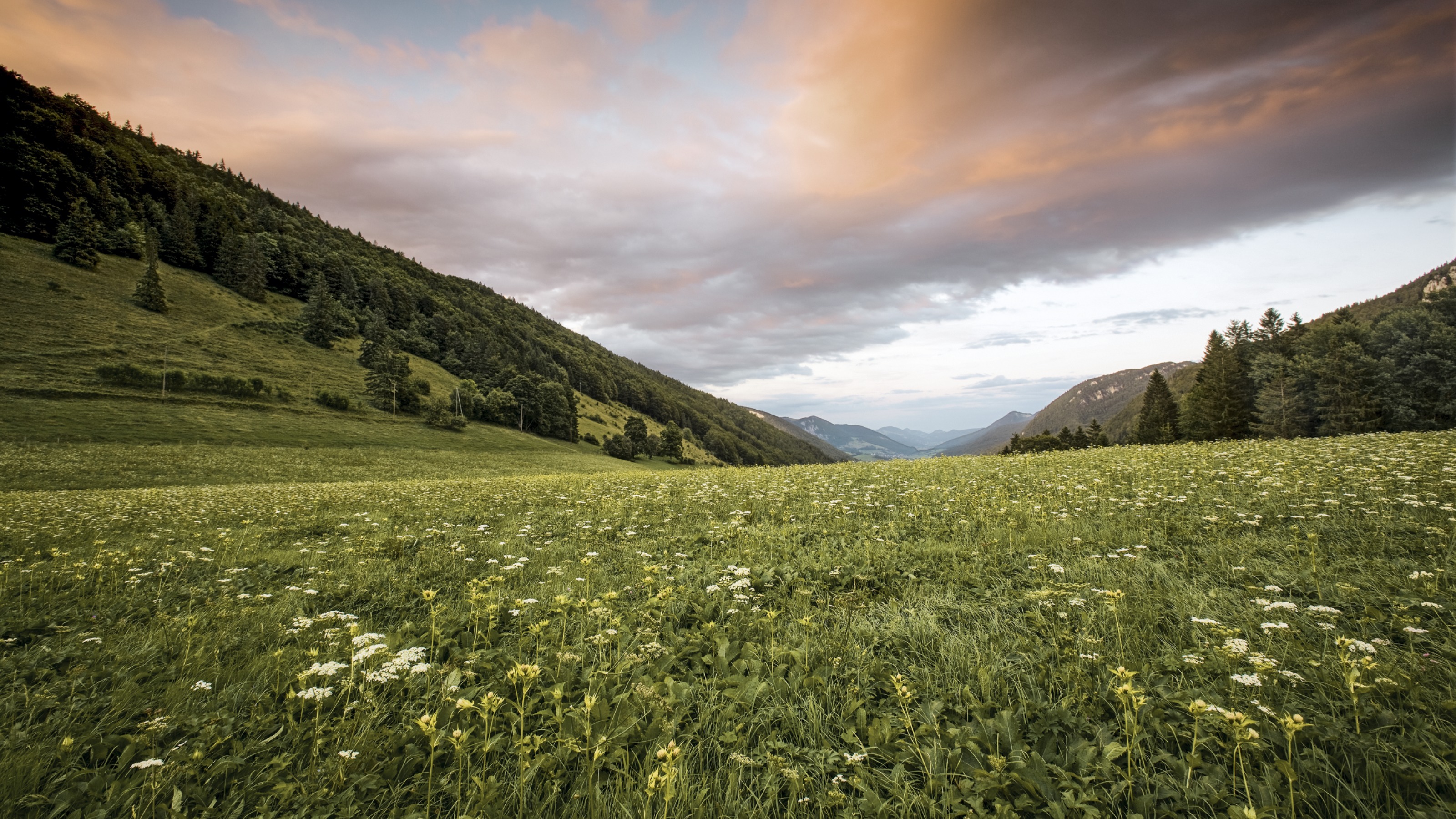 making the federation the largest single contributor to the partys election effort. Thal effectively gives A WelO 10 Volkswagens largest shareholder, the state Konzern-Treasury: Finanzmanagement in der Industrie